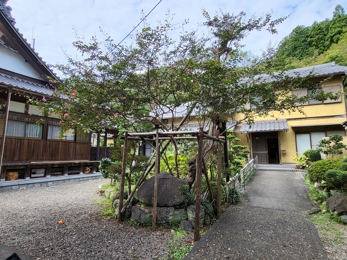 福満寺のサルスベリ