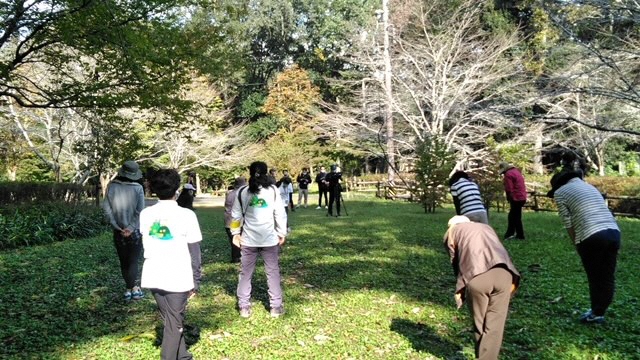 ストレッチの様子