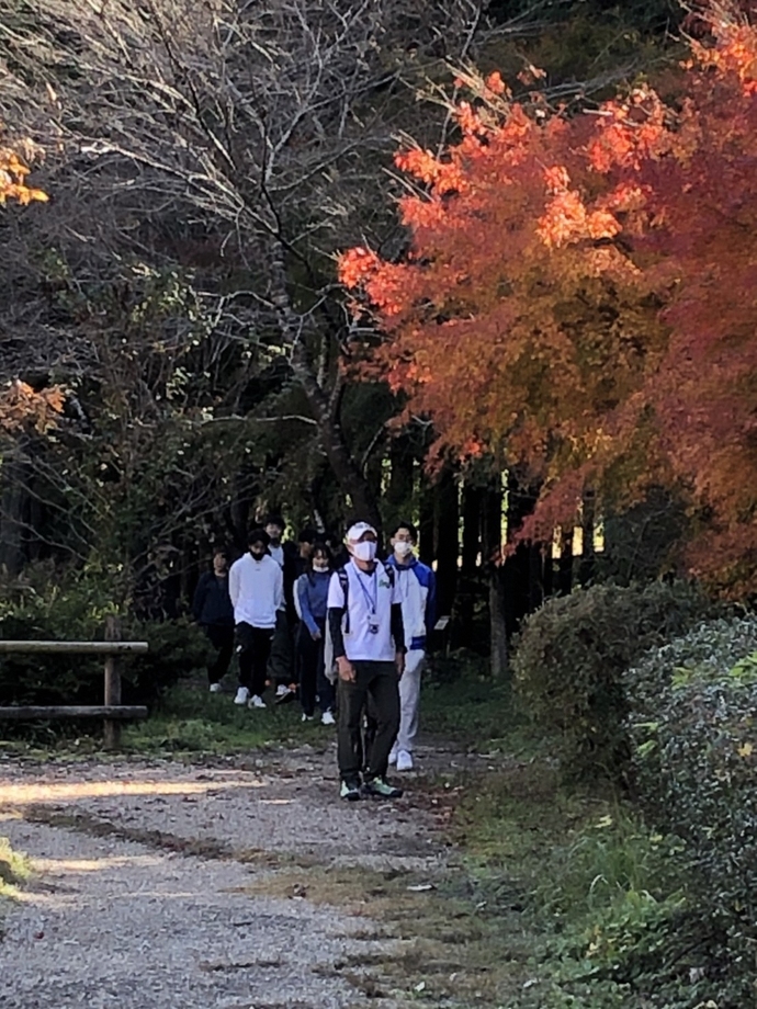 紅葉の下を歩いている様子