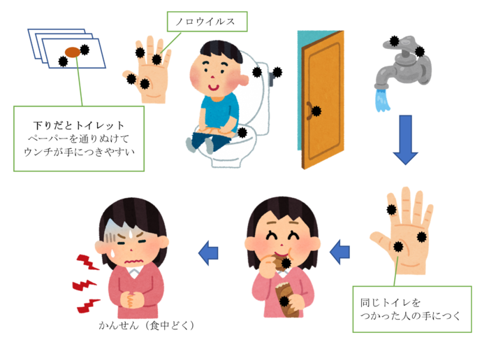 便から、トイレ、ドアノブ、蛇口、人の手を介して人に感染するノロウイルス