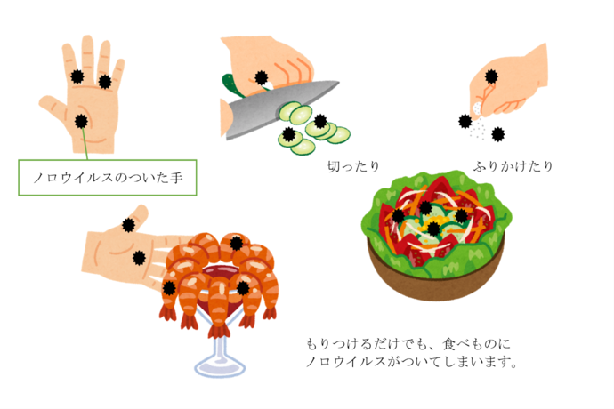 料理で切ったり、ふりかけたり、盛り付けたりした時に、手から食品に移るノロウイルス