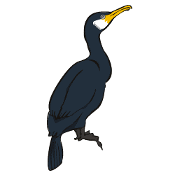 長良川の鵜キャラクター