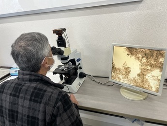 写真：微生物の観察風景