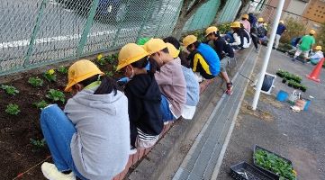 岩小学校の堆肥活用写真1