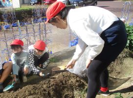 加納小学校の堆肥活用写真1