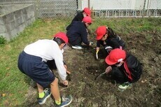 白山小学校施肥