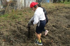 白山小施肥