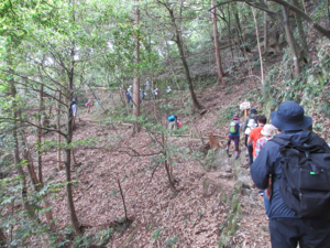 登山の様子