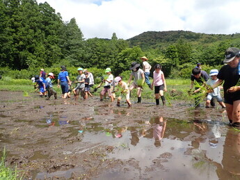 写真：田植えレクチャー
