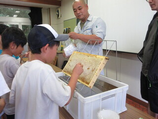 巣箱の観察2