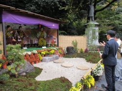 第53回岐阜公園菊人形・菊花展を鑑賞（同所）の様子