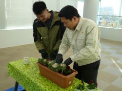 岐阜市園芸振興会鉢物研究会によるプランター植栽作業に参加の様子