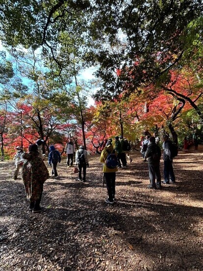コウヨウ