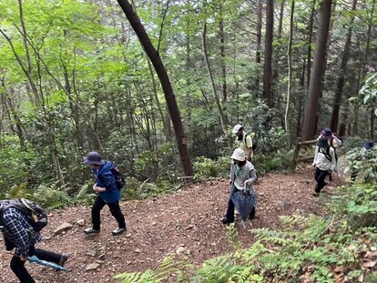 山道
