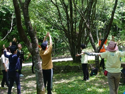 体操