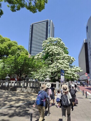 金公園
