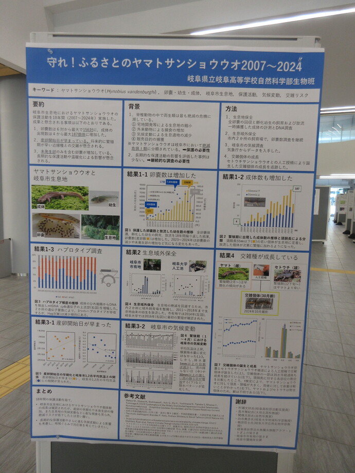 岐阜高校ヤマト