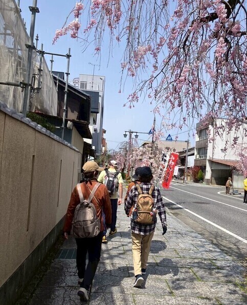 桜道
