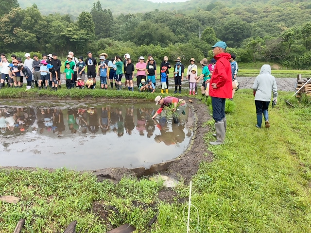 写真：田植えレクチャー