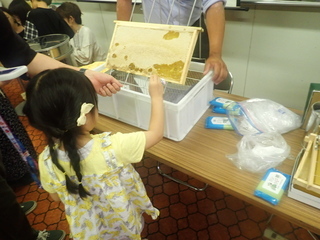 巣箱の観察2