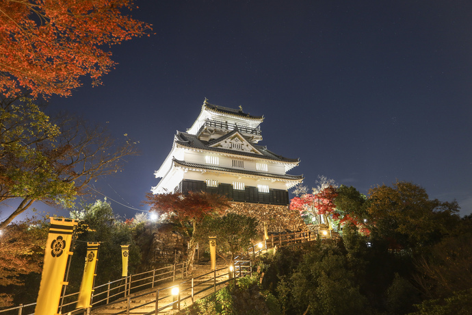 岐阜城夜間外観