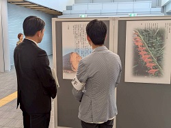 岐阜県出身戦没者のご遺書パネル展～届け！日本を守った若者たちの想い～を鑑賞