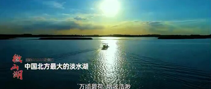 オンライン交流会議の様子
