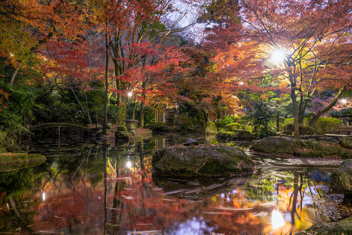 紅葉ポートレート撮影会
