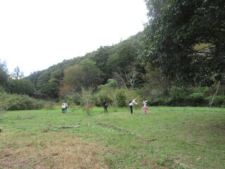 薬木の広場での昆虫探し