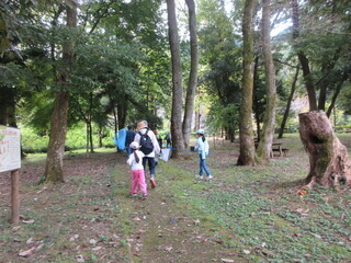 ふれあいの森の散策