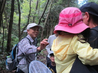 昆虫について説明