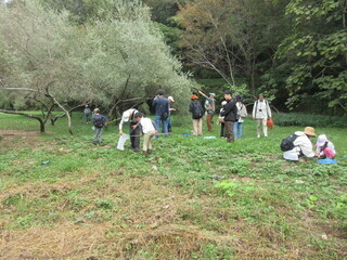 薬木の広場で昆虫探し
