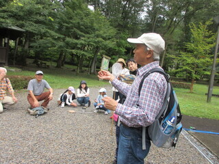 捕まえた昆虫の解説