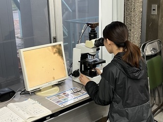 写真：微生物観察の様子