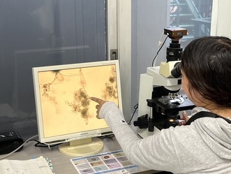 写真：微生物観察の様子