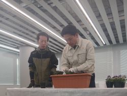 岐阜市園芸振興会鉢物研究会によるプランター植栽作業に参加