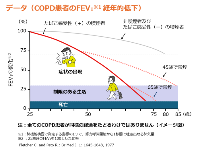 COPD患者のFEV1経年的低下グラフ　症状の出現から制限のある生活への移行を防ぐには、早期の禁煙が有効