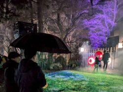 ぎふ灯り物語2026を視察(岐阜公園)