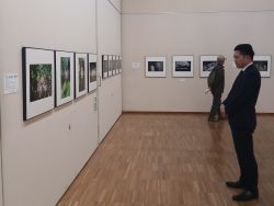 第31回表現写作品展 虹の会 感性表現を鑑賞