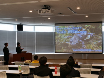 ヤマトサンショウウオ班