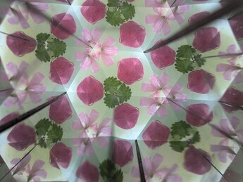 万華鏡観察3