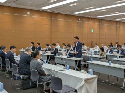 全国市長会財政委員会・都市税制調査委員会合同会議に出席し、発言（東京）