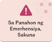 Sa Panahon ng Emerhensiya, Sakuna