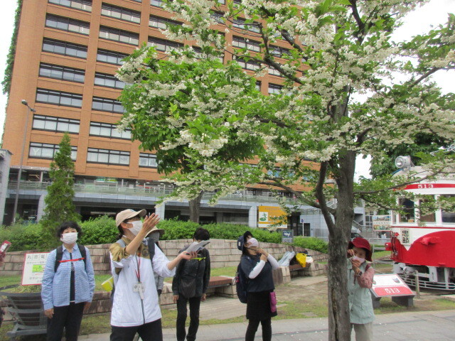 清水川コース：ウオーキングの様子