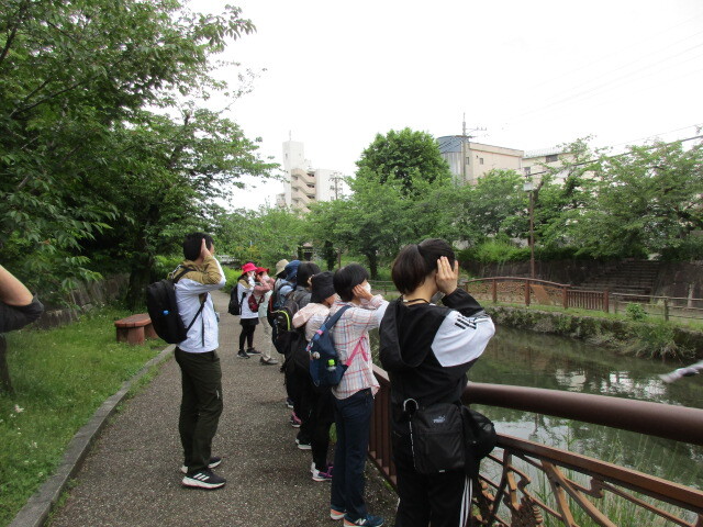 清水川コース：ウオーキングの様子