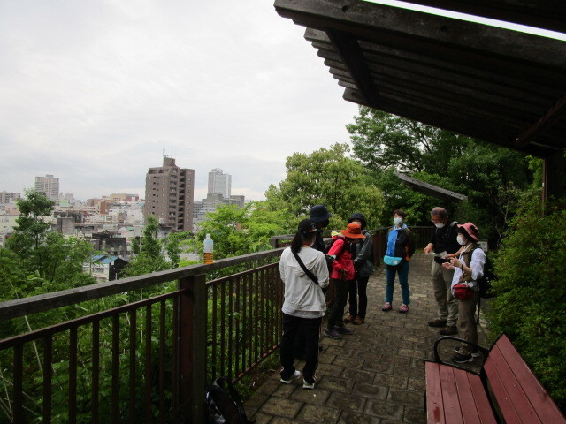 梅林公園コース：ウオーキングの様子