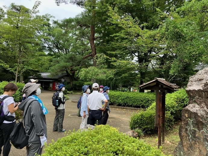 参加者が植物を見上げて観察している様子