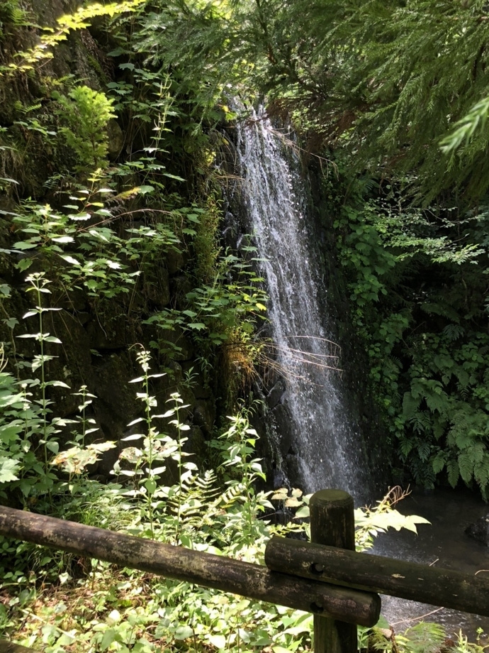 滝が流れている