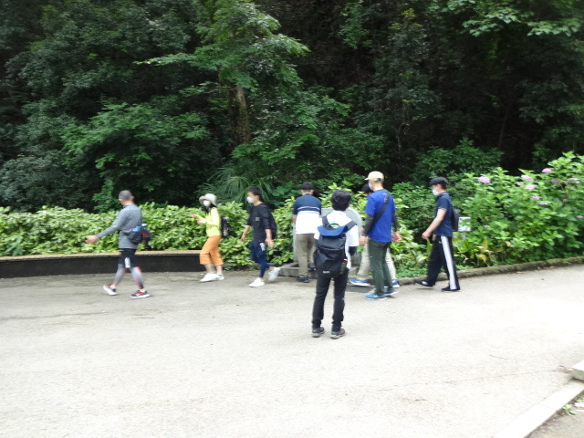 水道水を用いて涼しさを保つ様子