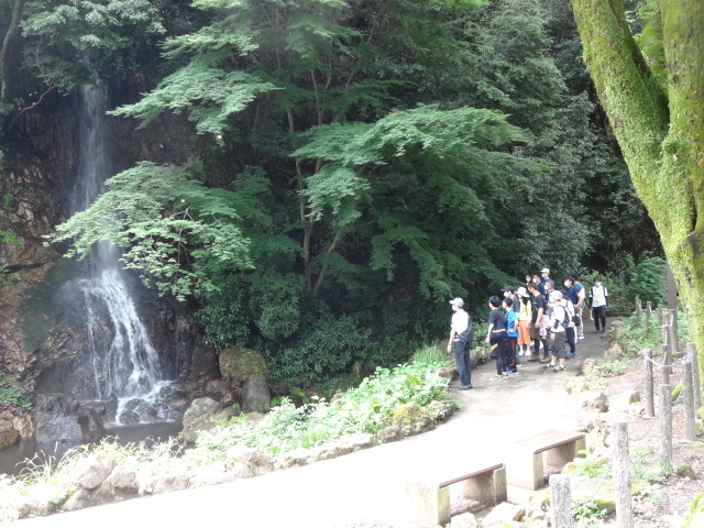 水辺にあるカエルの卵を参加者が観察している様子